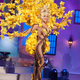 Illustration for article titled 2015 Miss Universe National Costumes: An Assholes Review (Part 2)